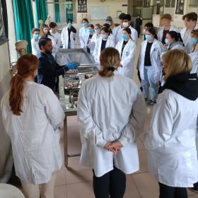 Pre-med students abroad