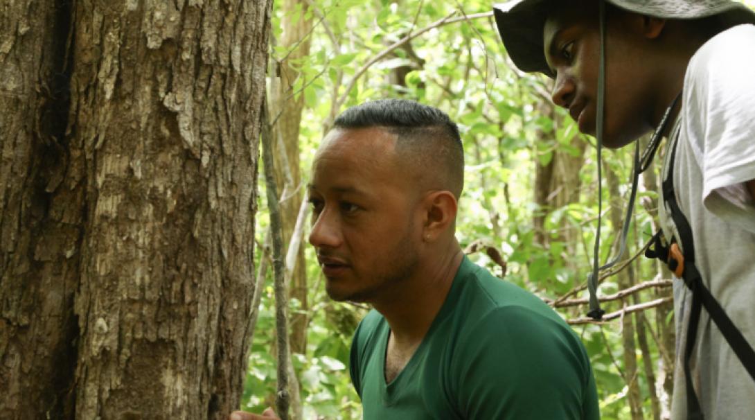 Conservation volunteers