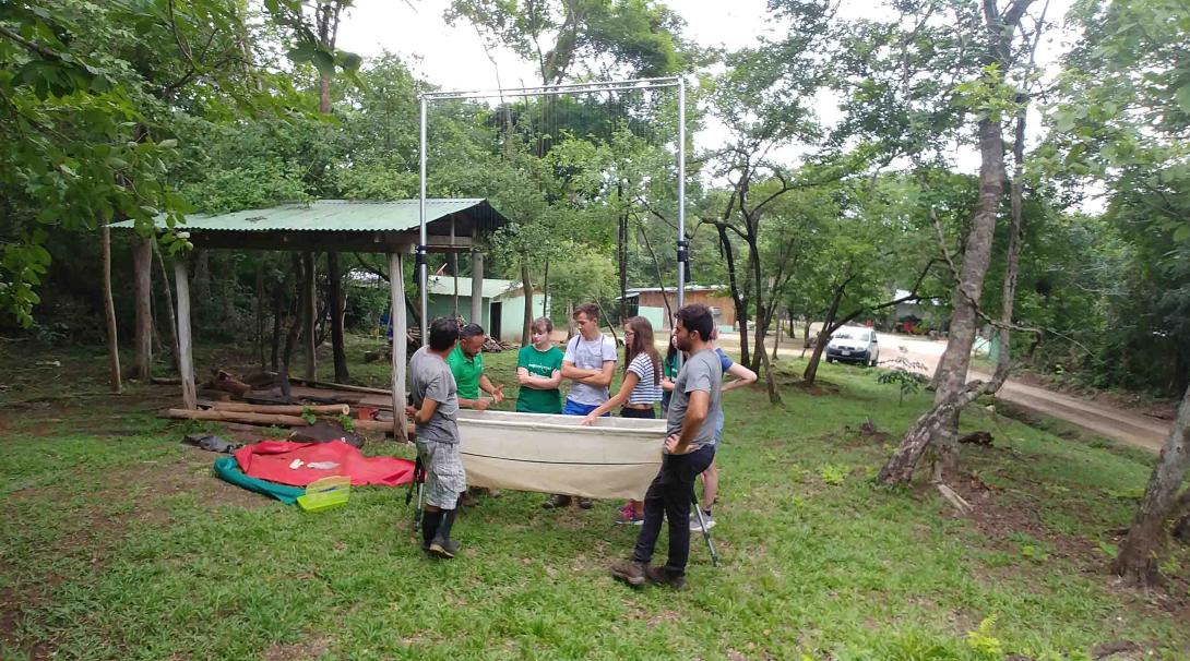 Volunteers working among nature