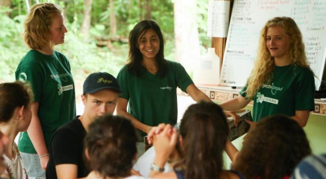 Contribute to real-world sustainability projects