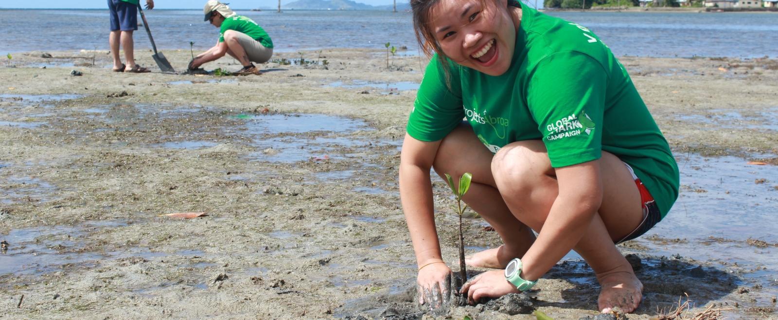 A woman plants mangroves as part of our volunteer abroad opportunities.