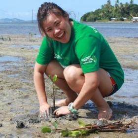 A woman plants mangroves as part of our volunteer abroad opportunities.