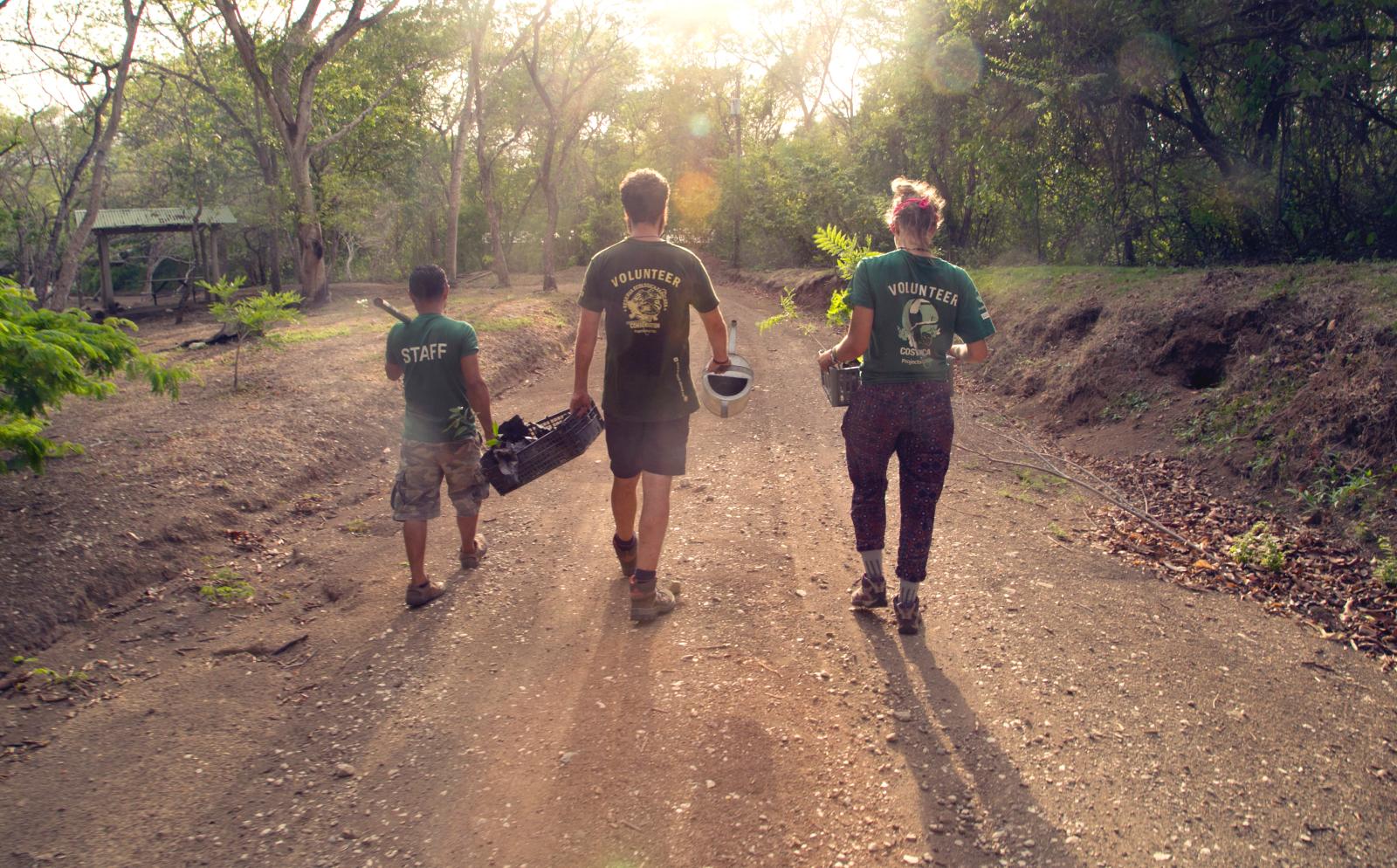 Conservation volunteers working together abroad