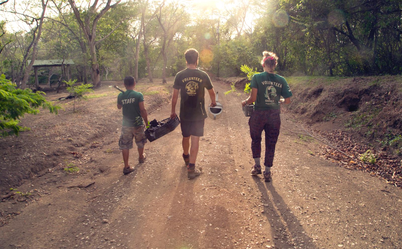 Conservation volunteers working together abroad