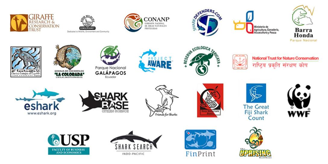 Nuestros voluntarios ambientales trabajan junto a nuestras organizaciones asociadas para proteger el medioambiente.