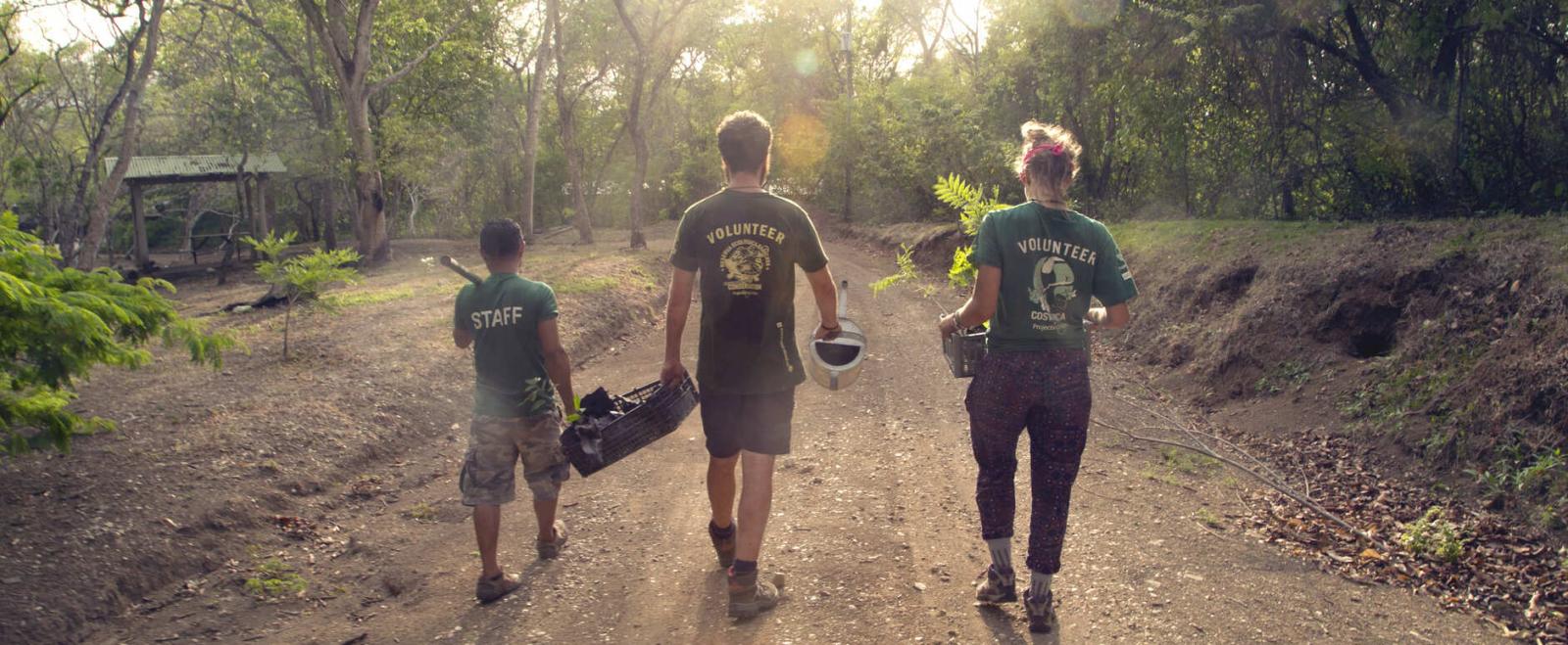 Projects Abroad vrijwilligers in het buitenland leveren een belangrijke bijdrage aan natuurbescherming in Costa Rica.
