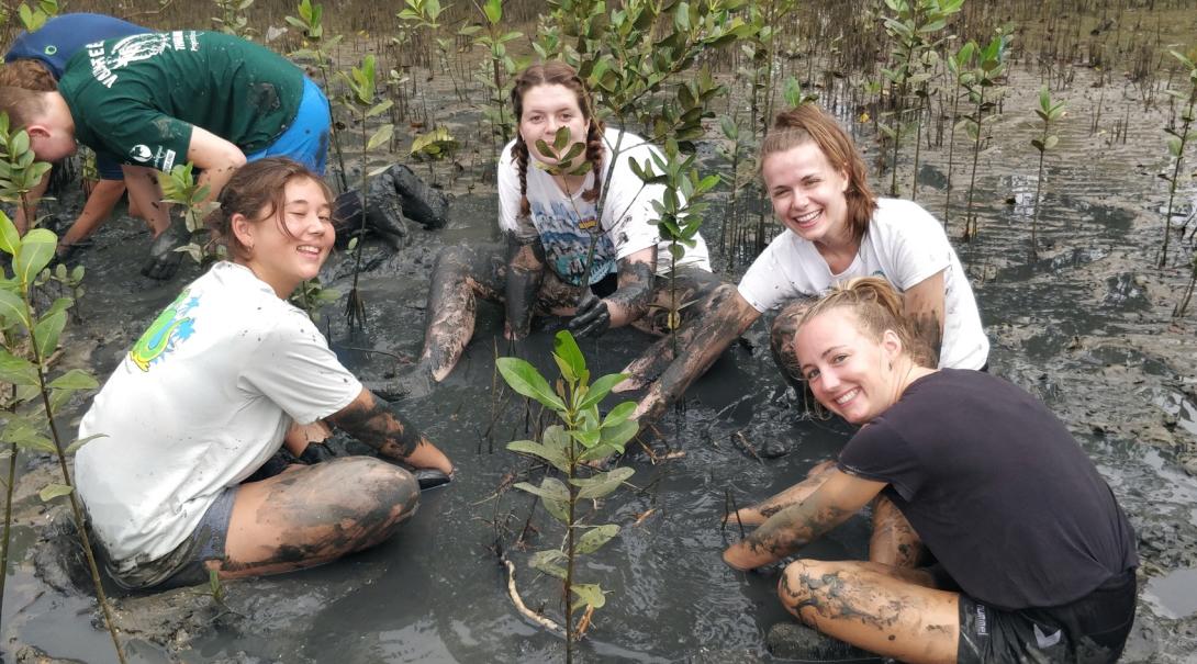 Glada ungdomsvolontärer planterar mangroveträd längs med kusten i Thailand på deras ungdomsresa.