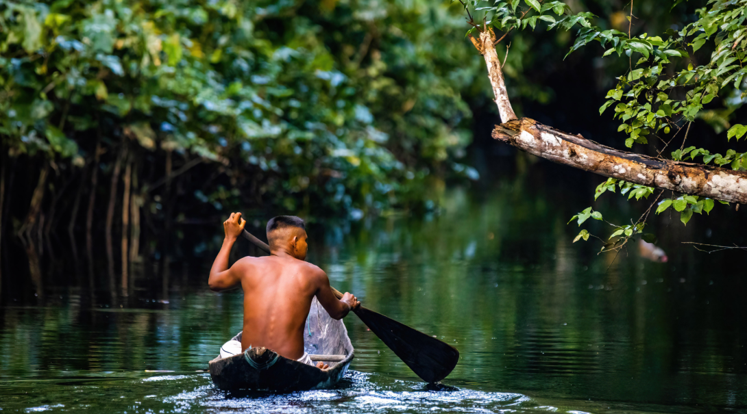 Live with Indigenous communities