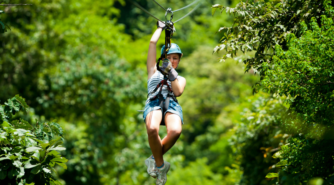 Climb trees and zipline down