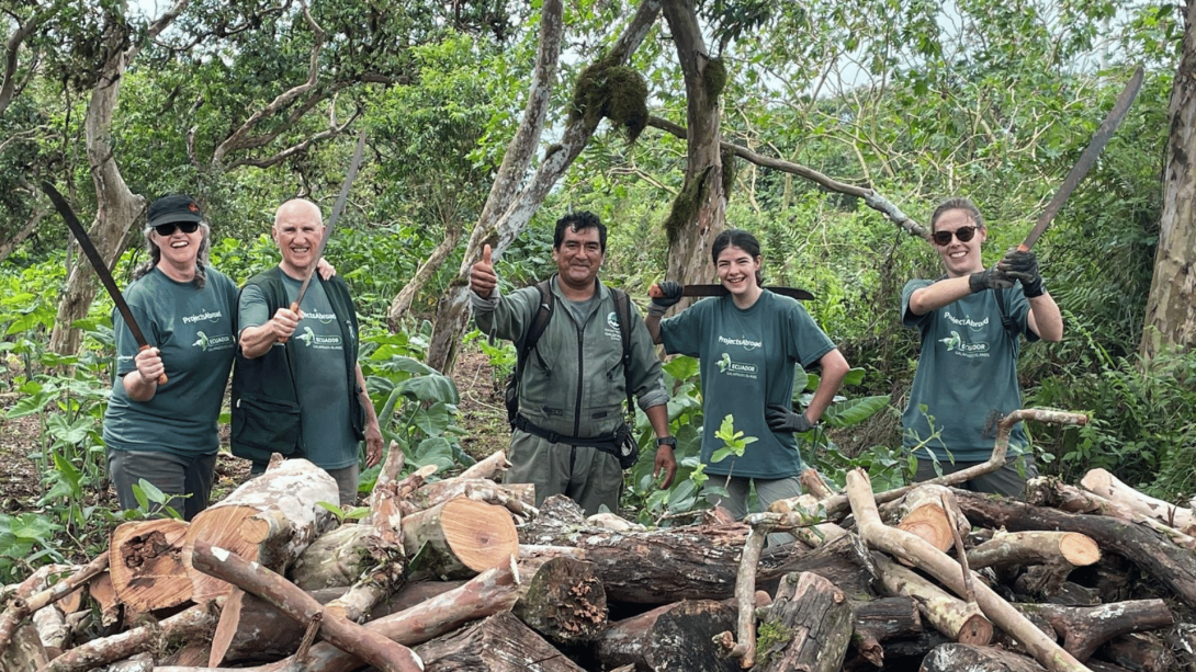 Four Projects Abroad volunteers stand behind a collection of wood that they have cut down as part of the conservation work we carry out in the Galapagos Islands