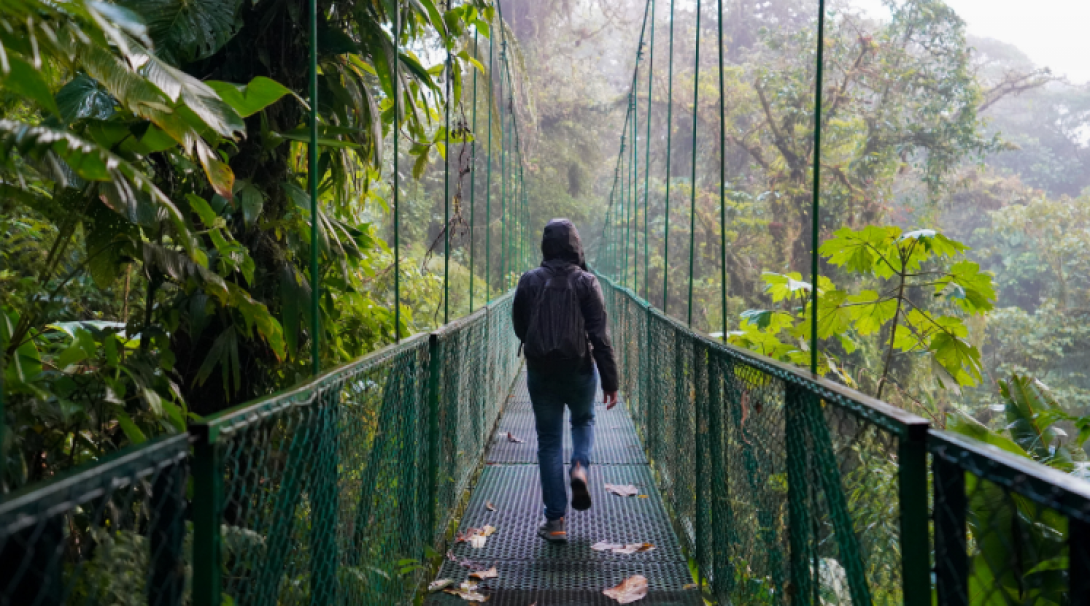 Canopy walk